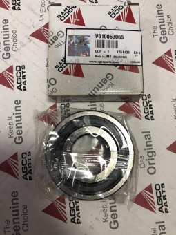 610063065 Подшипник V610063065 BEARING