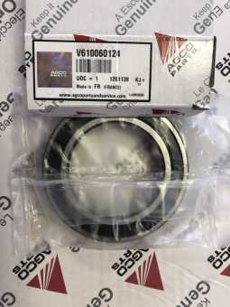 610060124 Подшипник V 610060124 BEARING 6100 60124