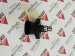 836864362 Датчик наддува V836864362 BOOST PRESSURE SENSOR 8368 64362